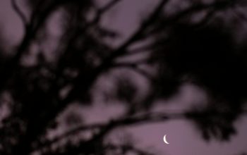 Wallpaper Black and Purple Sky with Stars
