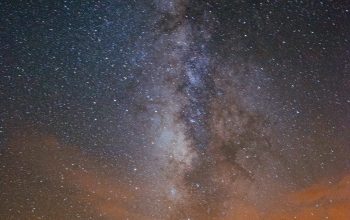 Wallpaper Silhouette of Trees Under Starry Night