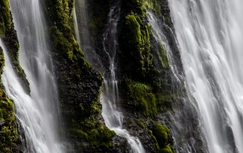 Wallpaper Waterfalls in the Middle of the Forest
