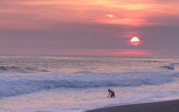 Wallpaper Person Walking on Beach During Sunset