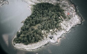 Wallpaper Aerial View of Green Trees on Island During Daytime