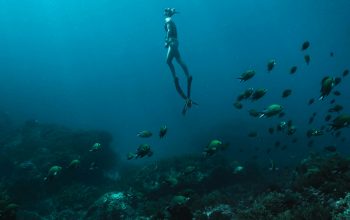 Wallpaper Man in Black Shorts Diving into Water