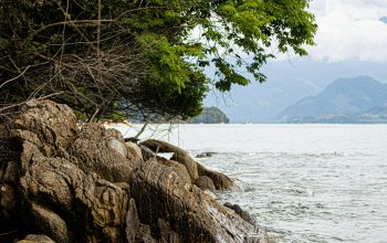 Wallpaper Brown Rock Formation Near Body of Water During Daytime