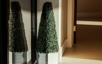 Wallpaper Green Tree on White Ceramic Floor Tiles
