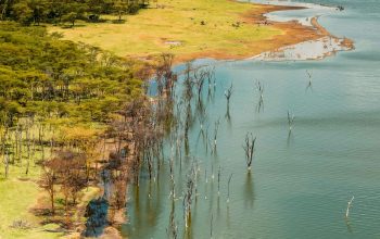 Wallpaper Aerial View of Green and Brown Grass Field Beside Body of Water During Daytime