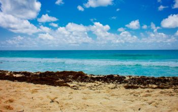 Wallpaper Brown Sand Near Body of Water Under Blue and White Cloudy Sky During Daytime