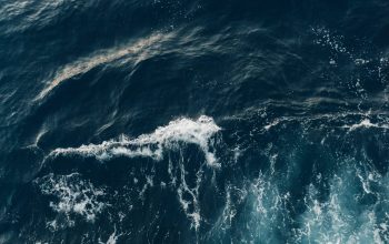 Wallpaper Blue Ocean Water During Daytime