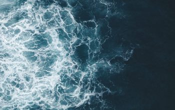 Wallpaper Blue Body of Water During Daytime