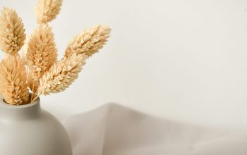 Wallpaper Brown Plant in White Ceramic Vase