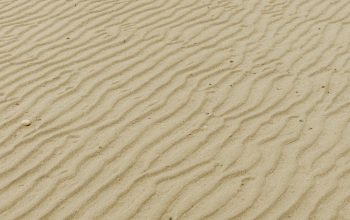 Wallpaper White Sand with Brown Sand