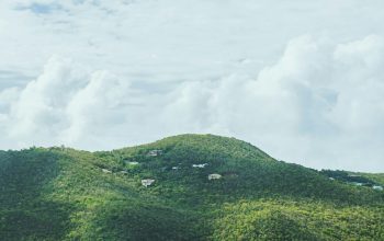 Wallpaper Green Trees on Mountain Under White Clouds