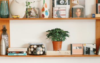 Wallpaper Green Potted Plant on White Wooden Shelf