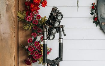 Wallpaper Red Flowers on Black Metal Rack