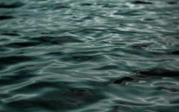 Wallpaper Body of Water During Daytime