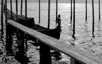 Wallpaper Brown Wooden Dock on Water During Daytime