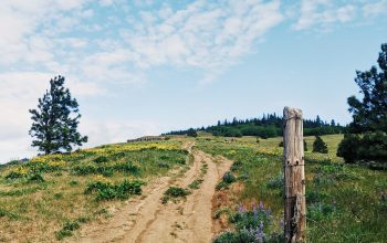 Wallpaper Brown Dirt Road Between Green Grass Field Under Blue Sky During Daytime