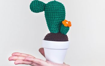 Wallpaper Person Holding a White Ceramic Pot with Black and Brown Fruits