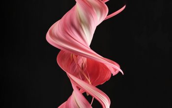 Wallpaper A Red and White Swirl on a Black Background