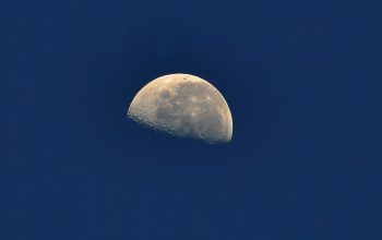 Wallpaper A Half Moon in the Blue Sky