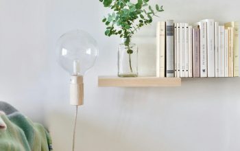 Wallpaper A Shelf with Books and a Plant
