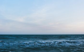 Wallpaper A View of a Body of Water with Waves