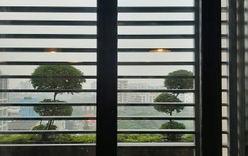 Wallpaper A Window with a View of Trees
