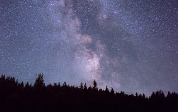 Wallpaper The Night Sky is Filled with Stars and Trees