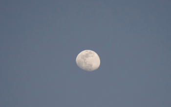 Wallpaper A Full Moon in a Clear Blue Sky
