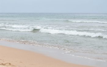 Wallpaper A Person Walking on a Beach Carrying a Surfboard