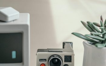 Wallpaper Polaroid Camera and Plant