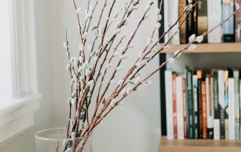 Wallpaper A Vase Filled with Branches on a Wooden Table