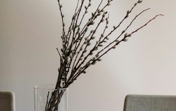 Wallpaper A Vase with Branches