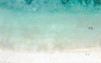Wallpaper An Aerial View of a Sandy Beach with Palm Trees