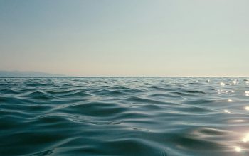 Wallpaper A Body of Water on a Sunny Day