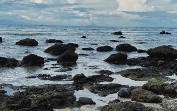 Wallpaper Rocks on a Beach