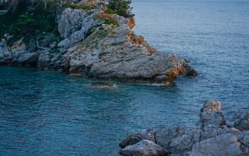 Wallpaper A Rocky Shoreline with Trees