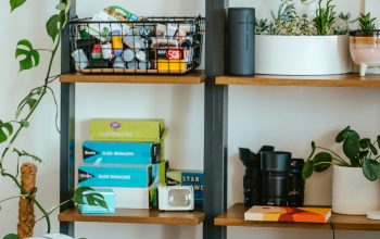 Wallpaper A Shelf with Objects