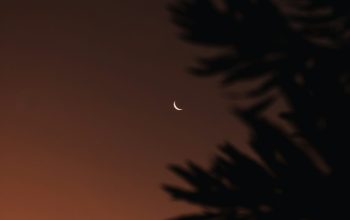 Wallpaper A Moon in the Sky
