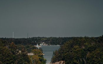 Wallpaper A Body of Water with Trees and Land
