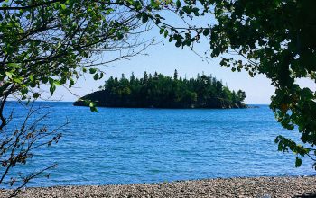 Wallpaper Beach with Trees and Water