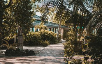 Wallpaper A Brick Walkway with Palm Trees and a Building