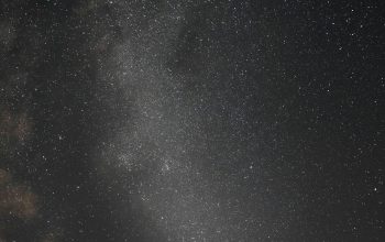 Wallpaper A Starry Night Sky with Trees