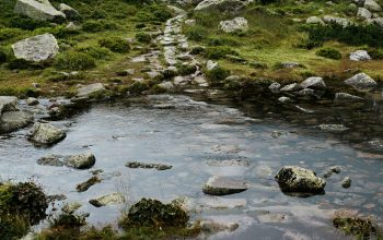 Wallpaper A River with Rocks and Grass