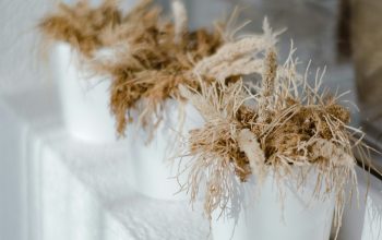 Wallpaper A Vase with Dried Flowers
