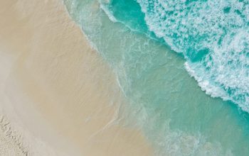 Wallpaper A Wave Crashing on a Beach