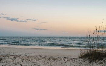 Wallpaper A Sandy Beach with Grass and Water