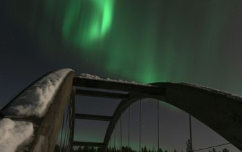 Wallpaper A Bridge with a Green Skylight