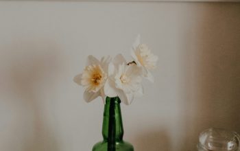 Wallpaper A Green Vase with White Flowers