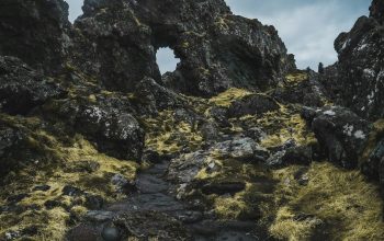 Wallpaper A Rocky Mossy Path
