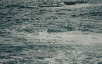Wallpaper A Black and White Ocean